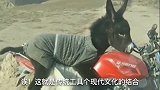 搞笑视频，这就是传统工具与现代文化的结合，骑着驴冒着烟！