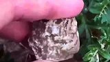 后院发现的石头，扒皮后是块玉石，加工后价值十万