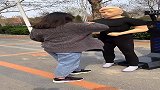 解气的发泄机器人，好东西
