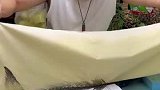 民间艺术家传统技艺制作鱼拓