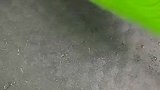 蔬菜小饼这样做家人都爱吃