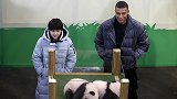跳水奥运冠军张家齐现身法国 与姆巴佩为中国旅法熊猫幼崽命名