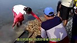 一夜暴富不是梦农妇河边挖沙子，竟意外发现“神秘宝藏”