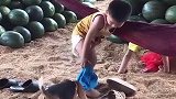 妈呀，狗狗把我的裤子咬掉了