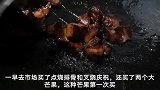 这家人第一次买这种水果，原来这么好吃，舔果皮，啃果骨