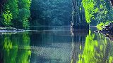 短短10秒，走过了365天，是不是很像我们的人生？ 这神秘的魔鬼桥是不是穿越时空的入口呢？