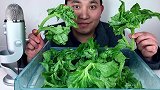 吃冰冻冰草,听脆脆的声音!
