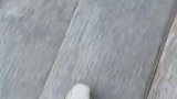 没想到是这样的结局