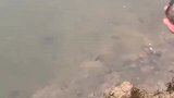 原来涡轮增压是这么来的