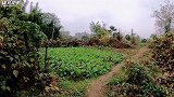 成都离市中心不远的地方，这里就像世外桃源，弄得我都想住这里