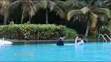 徐璐让张铭恩抱自己下泳池，还说求你了，好甜啊
