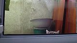 喵星人的诡异瞬间……