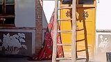 这个狗狗厉害