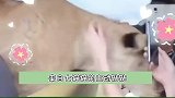 哪来的撒娇精嘛