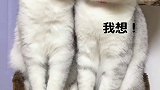 一定看到最后