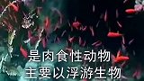 世界上有没有反老还童的生物，真是大开眼界了