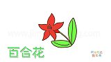 植物简笔画大全，画简单的百合花简笔画