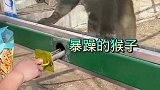 这要是在峨眉山我能受着委屈