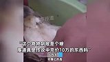 男子在洛河边捡“奇物”疑似“太岁”，烧完以后是肉色：它不动，但有生命体征
