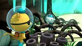 海底小纵队：植物鱼种树，被梭鱼盯上了，呱唧却拿着亮闪闪诱惑它
