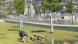 这个核心力量简直了
