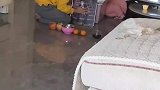 小朋友玩过家家，直接在爸爸照片前放上茶水和水果