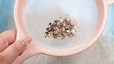 这个筛真的是太赞啦！我要去再淘点好东西！仓鼠