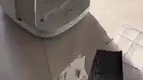 净化器用了两年，结果才发现膜没撕