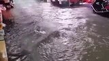 从没见过这么大的雨,菜市场的小贩来不及撤退,只能跟着倒霉了