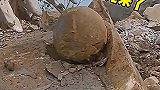 挖到恐龙蛋了，拿回家