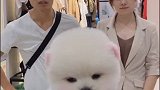 不要试图挑战女人的底线，她会让你怀疑人生……