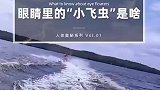 为啥眼前总能看到一些漂浮物