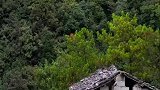 百米悬崖上的牛人，靠吃野果生存，佩服！