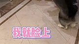 硬钢5秒钟，挨打两小时