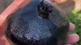 切四刀就可以了，教你切一颗完整的石榴花