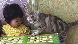 宝宝和猫咪在一起，特别的开心