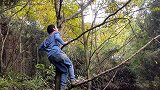 阿斌带媳妇进山寻山货，收获如何，媳妇太开心了