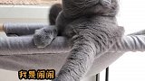 嗨～重新认识一下吧，我叫闹闹。