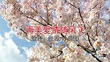 云南山歌《再美爱情随风飞》老四、小阿妹演唱