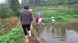 五姐家里在堰塘网鱼，一网下去直叫吃不完，大家都来看热闹！