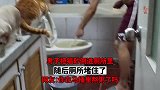 男子把猫砂倒进厕所里，随后厕所堵住了