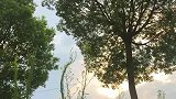 缓缓地地随时光老去，静静地看青春荒芜！
