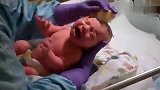 新生儿出生一天宝宝洗头，肚子上还带着脐带夹子，好乖好可爱