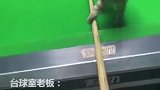 可爱到犯规！台球室好心收留的狸花猫，自学成了“金牌球搭子”……网友：太治愈了！