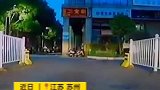 宠物店凌晨着火11岁男孩冷静报警救下30只汪星人