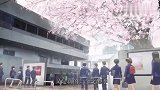 好姐妹同时喜欢男主，到底谁才是最后赢家！日本动画《月色太美》