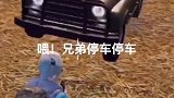 全网寻找楼里面这位小哥，太坏了