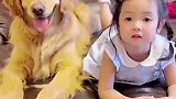 家有萌娃：自从养了狗狗，宝宝再也不用我陪她玩了！