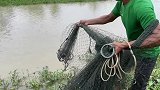 野外捕鱼喜获丰收，一网下去几十斤鱼，想想都过瘾