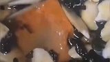 这中药里面混进了奇怪的东西！